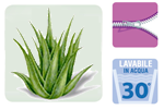 aloevera