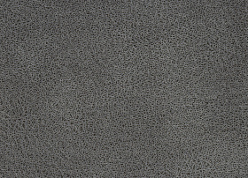 PRERIA grey